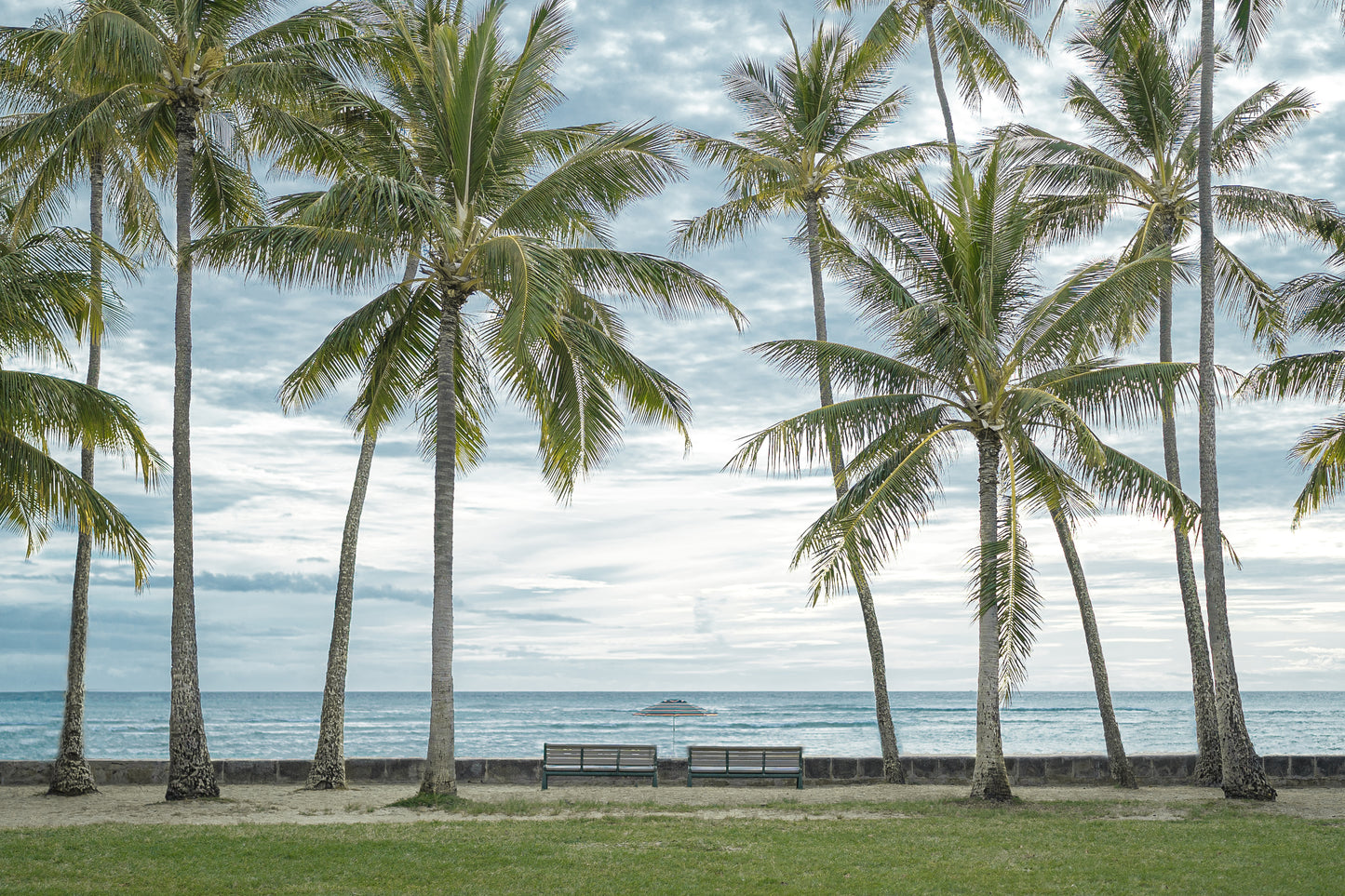 Tall palm trees frame a serene view of Kaimana Beach in Honolulu, Hawaii with two benches and an umbrella facing the ocean.
